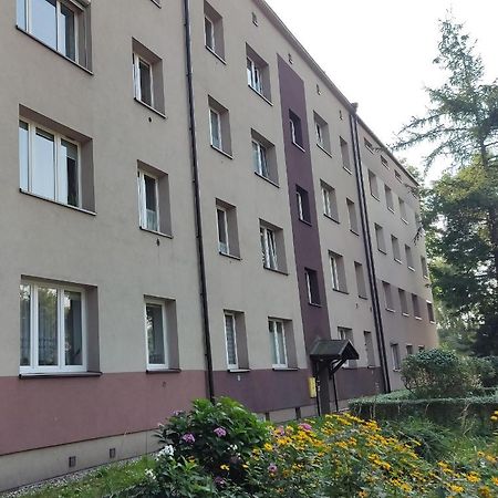 Apartament Curie Zabrze Exteriér fotografie